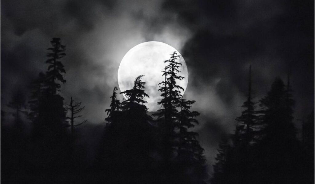 dark moon memorabilia vstock