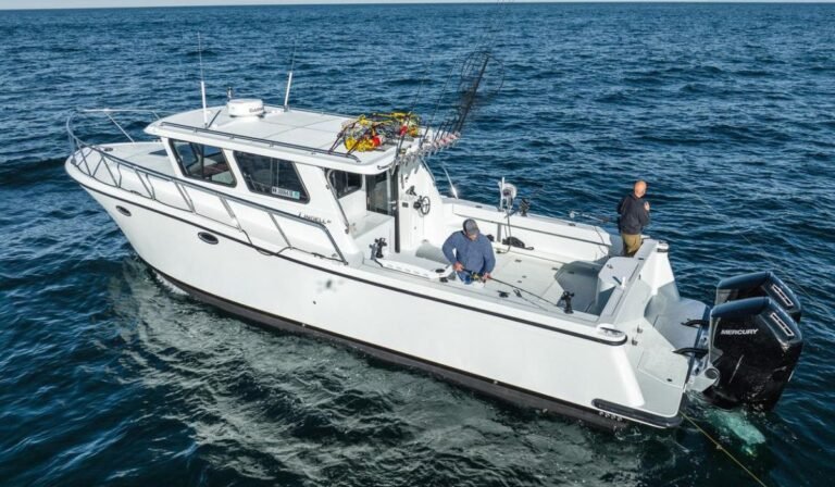 Discover the Perfect Catch with Lindell 46 Livewell Size