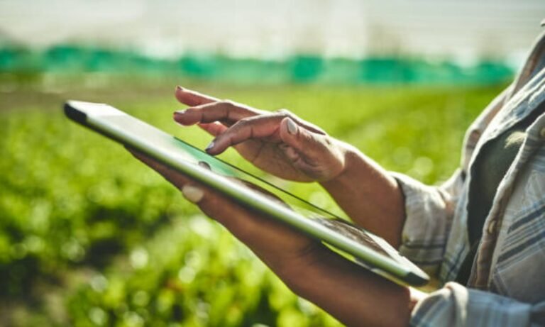 Python Application in Agriculture with Global Maps for Pests and Diseases