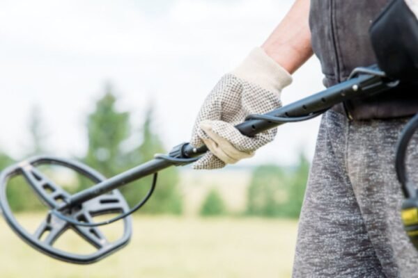 does the chandler reservation in warner nh allow metal detecting