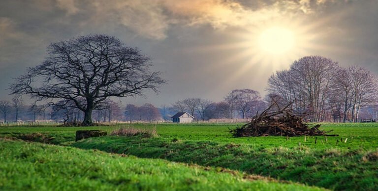 Sunday Afternoon Blessings Quotes